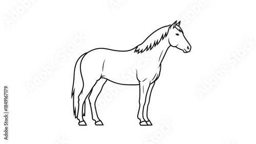 Simple black-and-white outline of a majestic horse standing calmly with detailed features
