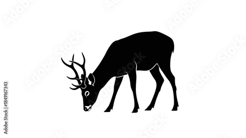 Minimalist silhouette of a majestic stag with antlers grazing in stark contrast