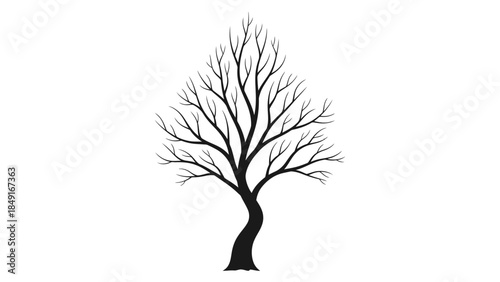 Minimalist Illustration of a Leafless Tree with Twisted Trunk and Branches