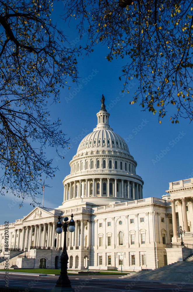 Obraz premium US Capitol Building in Washington, DC - The Capitol is among the most architecturally impressive and symbolically important buildings in the world.