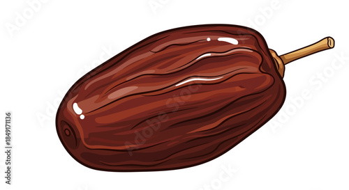 Delicious single date fruit illustration with rich brown color and natural texture Vector