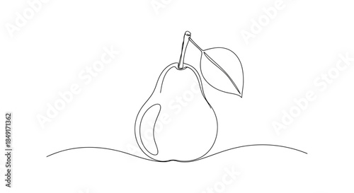 A simple and elegant continuous line drawing illustration of a fresh pear with a delicate leaf Vector