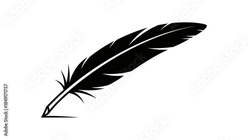 Minimalist Black and White Illustration of a Feather with Sharp Details