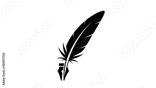 Minimalist black silhouette of a single feather with detailed barbs and quill on plain white