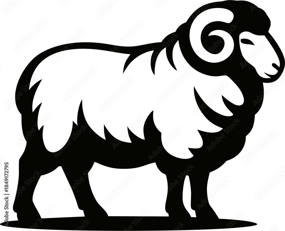Fototapeta premium black sheep illustration