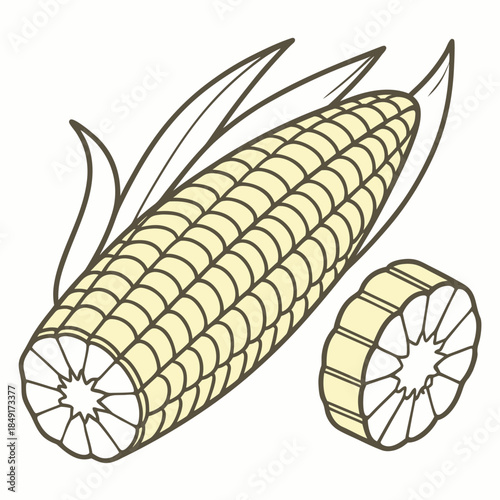 Illustration of corn on the cob