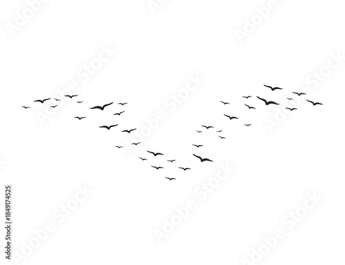 A flock of flying birds. silhouette of flying birds Vector illustration
