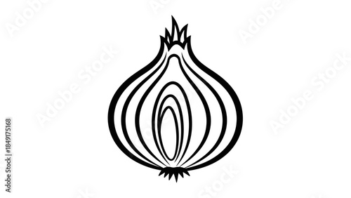 Elegant Minimalist Onion Illustration Featuring Symmetrical Black Line Art for Artistic and