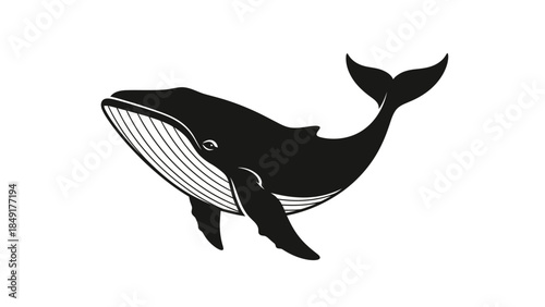 Minimalist Black and White Illustration of a Whimsical Whale with a Cartoonish Style and Playful