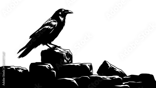 Silhouette of a crow perched on rocks with stark contrast background emphasizing bird's detailed