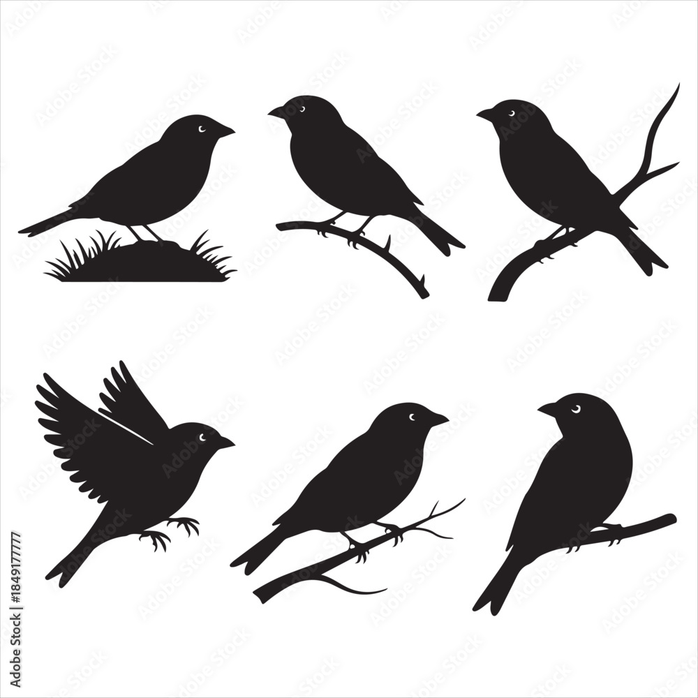 Fototapeta premium Six Black Silhouette Illustrations of Birds sparrow