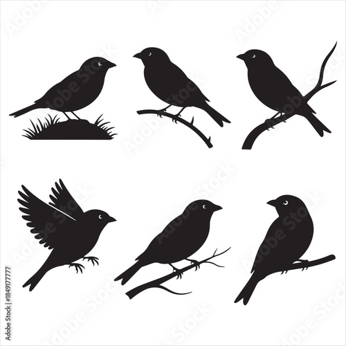 Wallpaper Mural Six Black Silhouette Illustrations of Birds sparrow Torontodigital.ca