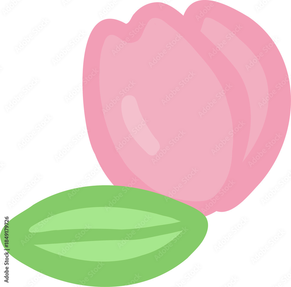 Fototapeta premium tulip