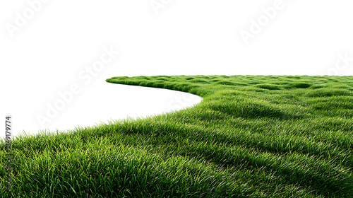 Lush green grass patch curving gently isolated on transparent background