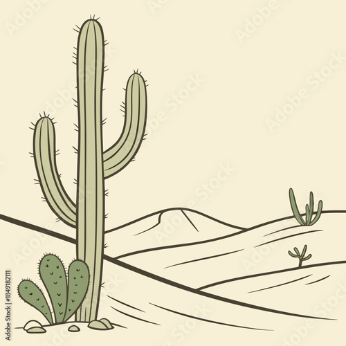 Desert landscape with cactus
