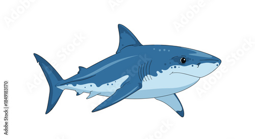 A powerful great white shark illustrated in a clean vector style, swimming with detailed shading on a transparent background.