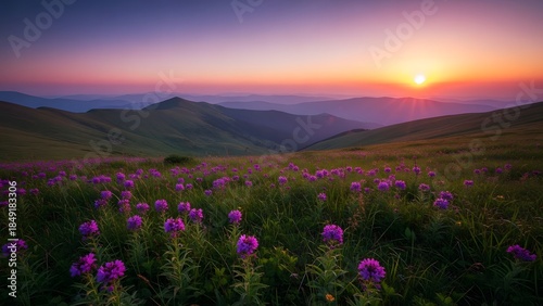 Vibrant sunset over mountainous landscape with purple wildflowers