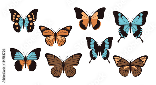A beautiful collection of various species of butterflies with colorful wings in different flying and resting positions.