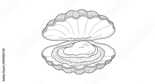 An open oyster shell revealing a precious pearl inside, drawn in a detailed black and white line art or engraving style.