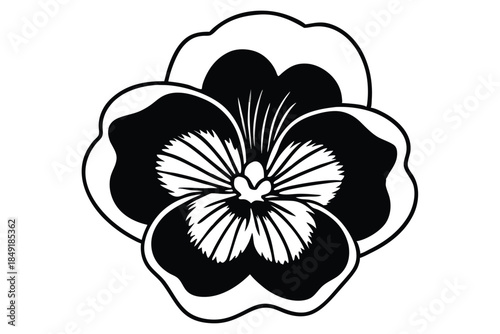 pansy silhouette line art vector illustration