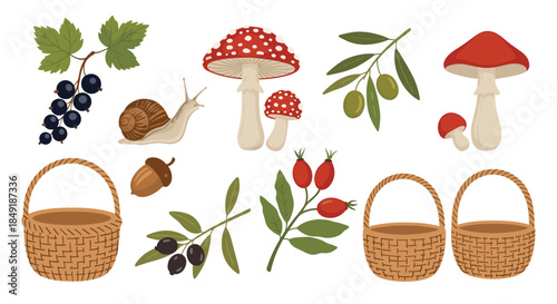 A charming collection of autumn forest elements including wicker baskets mushrooms berries a snail and an acorn on white background.