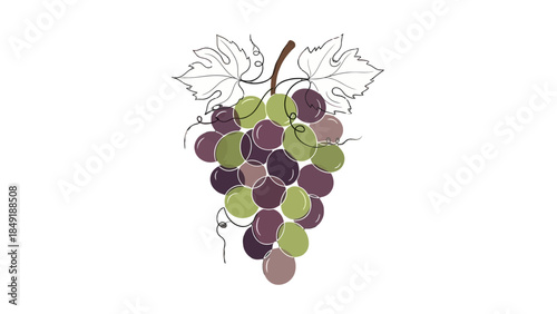 Abstract Line Art Grape Cluster with Purple and Green Colors on Isolated White Background