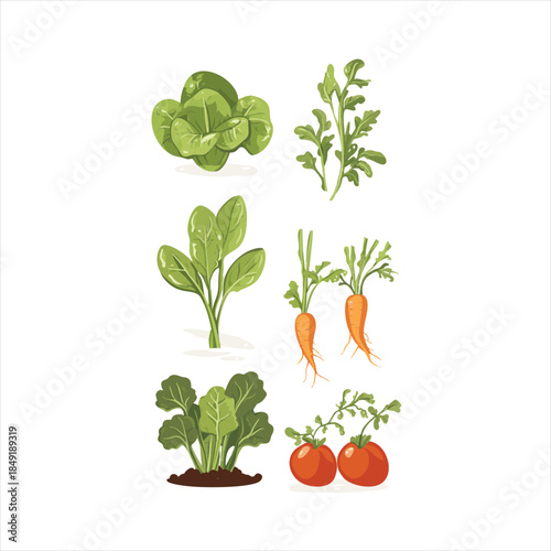 Colorful illustration of fresh, vibrant leafy greens and root vegetables