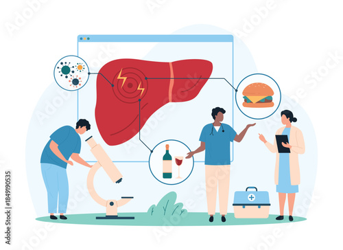 Liver damage from fast food and infections, awareness about healthy diet. Tiny people study liver cell sample through microscope, warning about hepatitis and cancer danger cartoon vector illustration