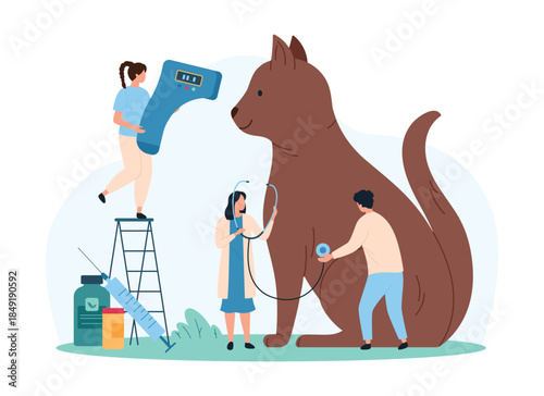 Veterinarian examination, visit in clinic. Tiny people with infrared thermometer and stethoscope check cats health, professional consultation of veterinary doctors cartoon vector illustration