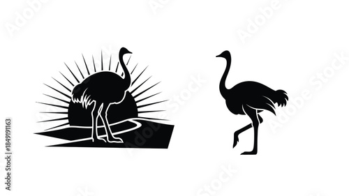 Two ostriches against a sunburst and landscape in black silhouette