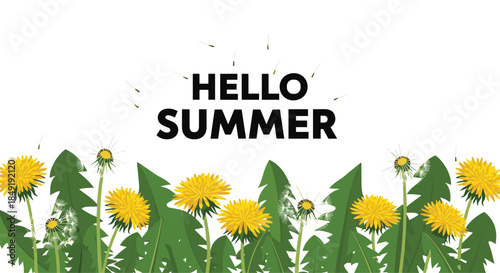 A 'Hello Summer' banner design featuring a field of yellow dandelions at the bottom with fluffy seeds blowing in the wind.