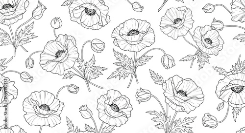 A beautiful seamless floral pattern of poppy flowers and buds in a detailed black and white hand-drawn line art illustration.