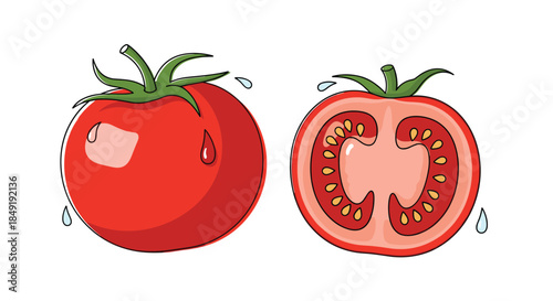 An illustration of a fresh, ripe red tomato shown both whole and cut in half, with glistening water droplets on the skin.