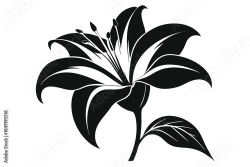 lily silhouette line art vector illustration