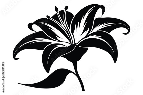 lily silhouette line art vector illustration