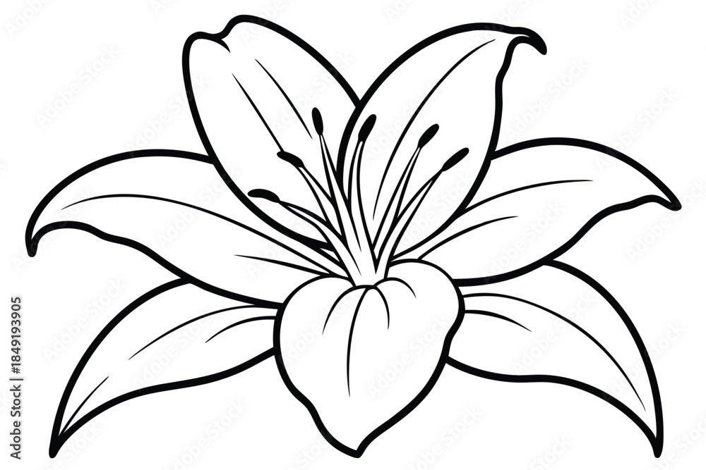 Obraz premium lily silhouette line art vector illustration