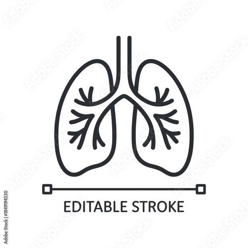 A detailed line drawing depicts a pair of human lungs showing the branching structure of the bronchi and their connection to the trachea