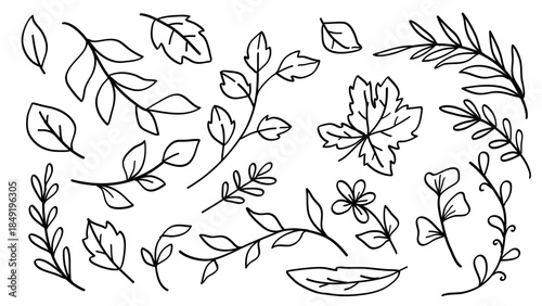 Line Drawings of Leaves and Branches.Vector illustration