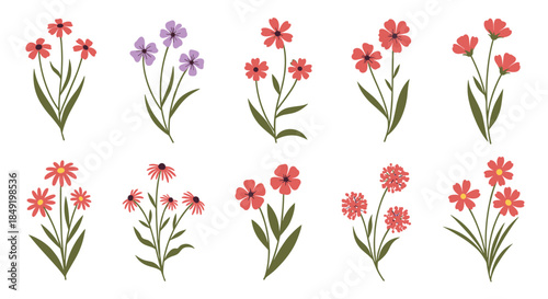 A charming collection of various hand-drawn wildflowers and botanical elements isolated on a clean white background.