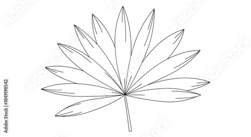 A minimalist black and white line art illustration of a single tropical palmate leaf isolated on a white background.