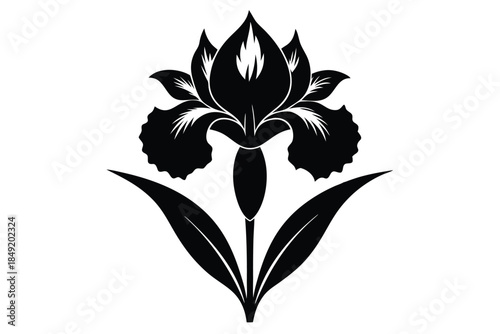 iris silhouette line art vector illustration