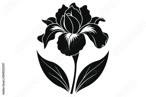 iris silhouette line art vector illustration