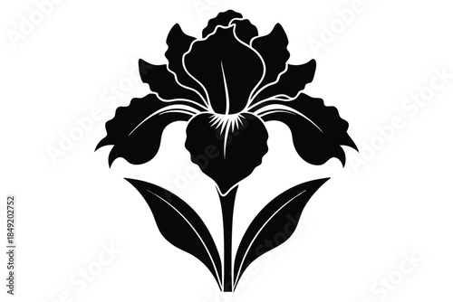 iris silhouette line art vector illustration