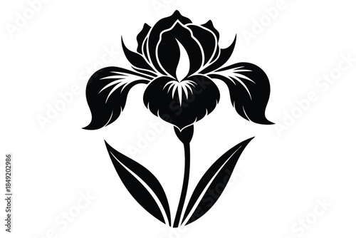 iris silhouette line art vector illustration