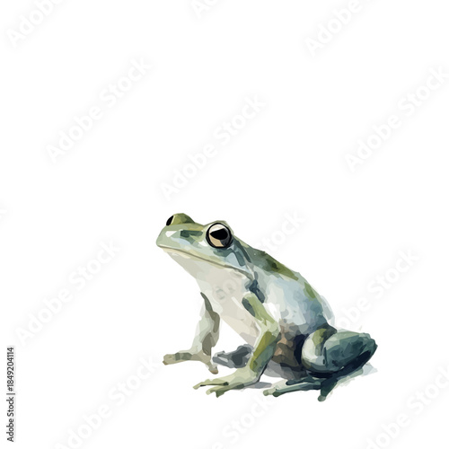 A vectorized, Hand-painted style, vector set available in EPS An Elegant watercolor painting design collection_Watercolor_style_painting_of_a_frog_on_a_white