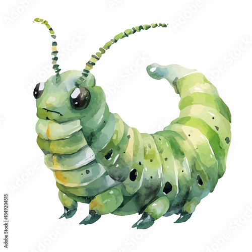 Watercolor_style_painting_of_a_hornworm_on_a_white. A vectorized, Hand-painted style, vector set available in EPS An Elegant watercolor painting design collection