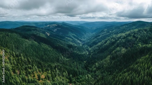 A vast, forested mountain valley with dense evergreen trees stretching into the distance under a cloudy sky.