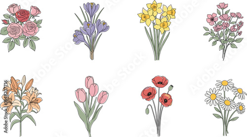 Hand Drawn Spring Flower Illustration Set Featuring Roses, Tulips, Daffodils, Lilies, Poppies, and Daisies in Soft Pastel Botanical Style for Floral Design