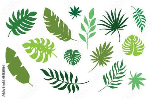 leaf icons set leaf silhouette tropical leaves set palm