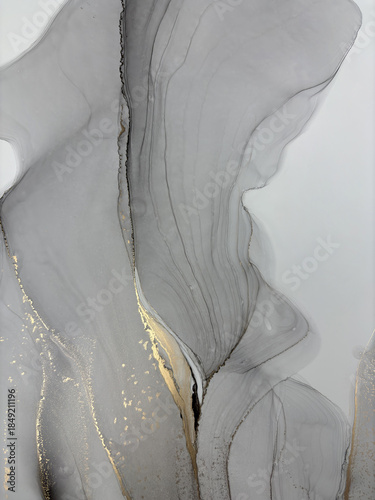 Abstract grey background with gold — black and white fluid art texture made with alcohol ink and golden potal. Beautiful gray natural art backdrop resembles marble, wing, aquarelle, water, splash.